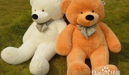 网红熊公仔吃瓜图片,萌态十足引网友热议